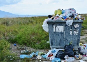 Des jeunes engagés dans la lutte contre le changement climatique en Tunisie