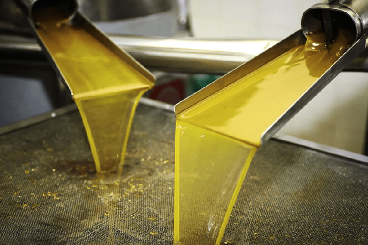 La Tunisie N°1 mondial des pays exportateurs d’huile d’olive