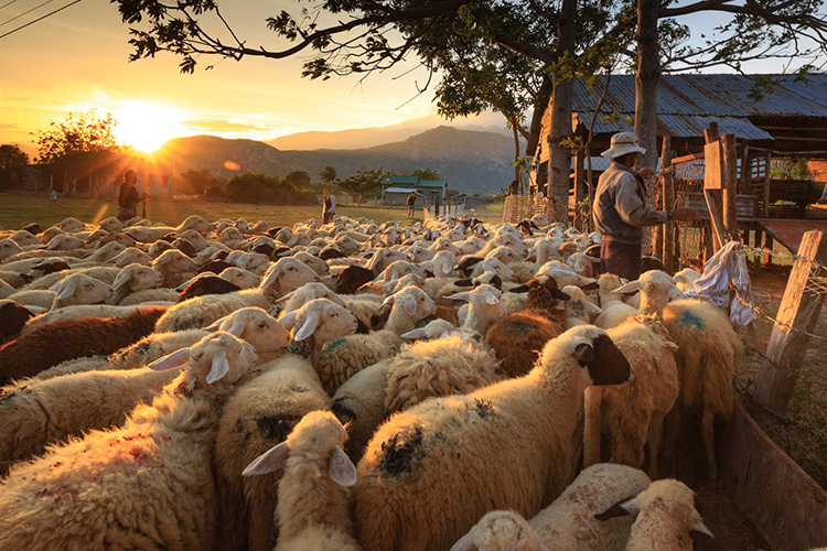 Kasserine : Le corps décapité d’un berger retrouvé à Djebel Salloum