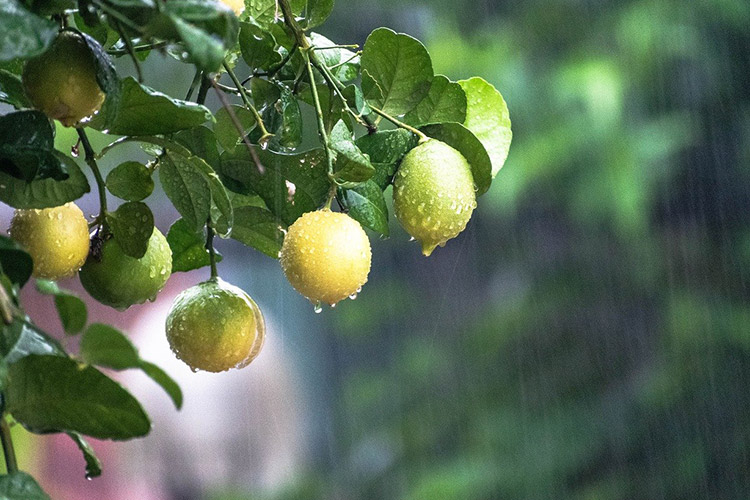 Météo - Temps nuageux et relativement doux pour terminer la semaine