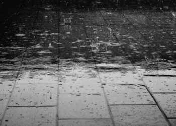 Tunisie : La pluie et le froid vont progressivement s’installer