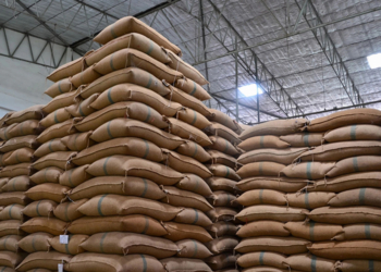 La Tunisie achète 200.000 tonnes de céréales sur le marché international