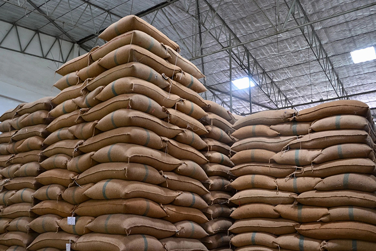 La Tunisie achète 200.000 tonnes de céréales sur le marché international