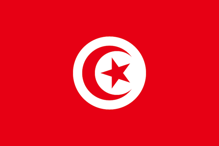 Lettre ouverte d'artistes et intellectuels Tunisiens pour défendre la République