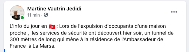 Capture statut Mme Martine Vautrin Jedidi
