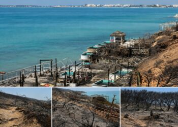 Ghar El Melh : Un incendie ravageur met à nu le chaos immobilier et écologique